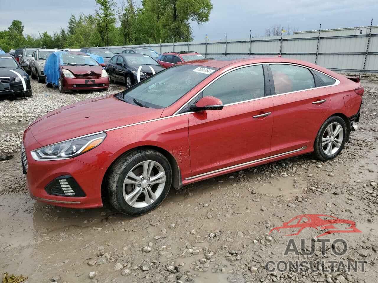 HYUNDAI SONATA 2019 - 5NPE34AF4KH767170