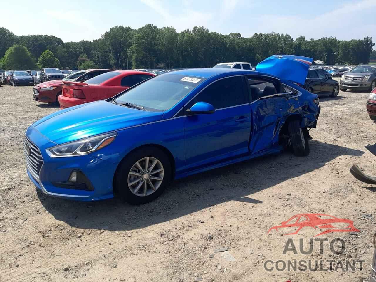 HYUNDAI SONATA 2018 - 5NPE24AF6JH623718