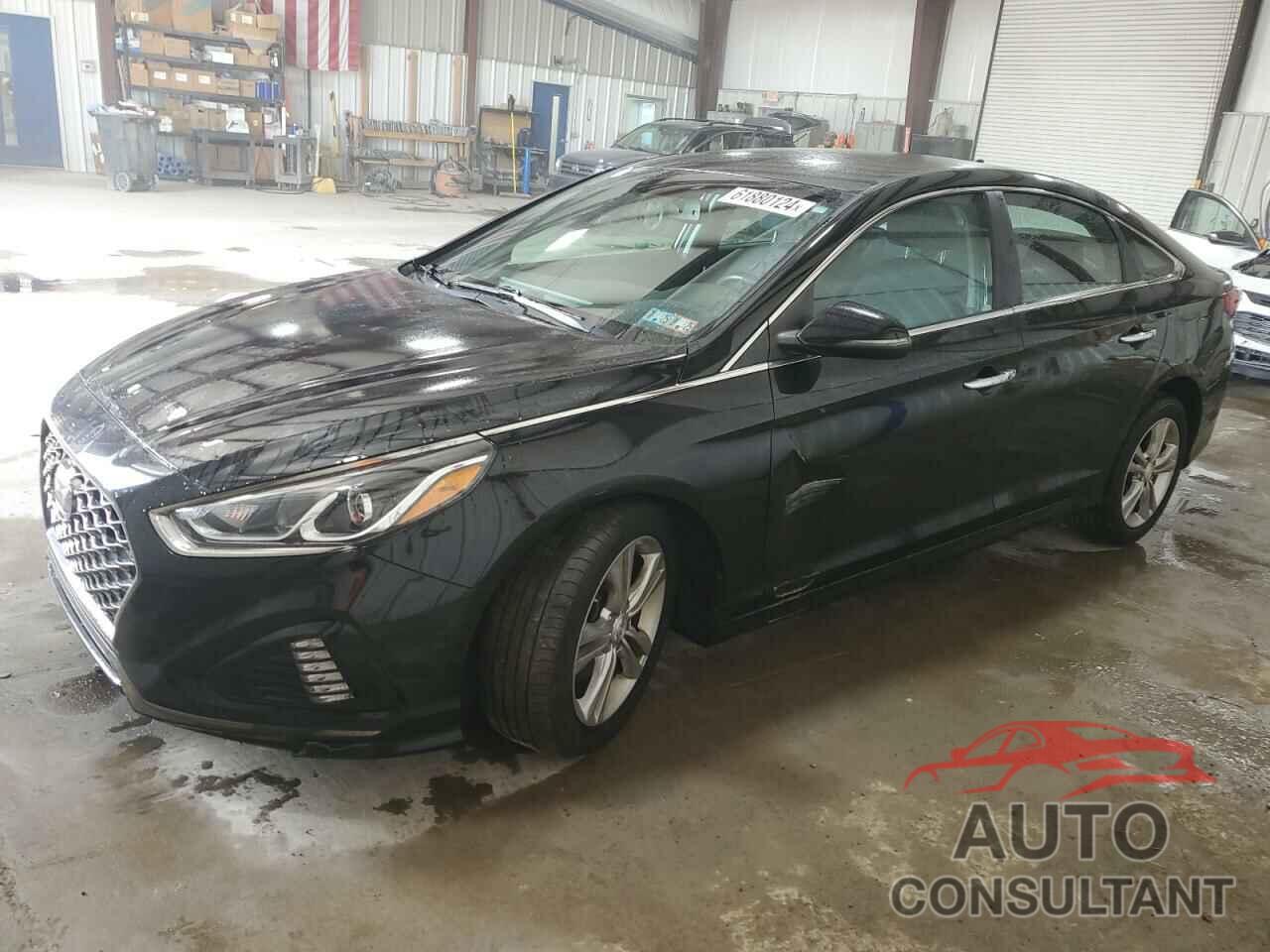 HYUNDAI SONATA 2019 - 5NPE34AF4KH785779