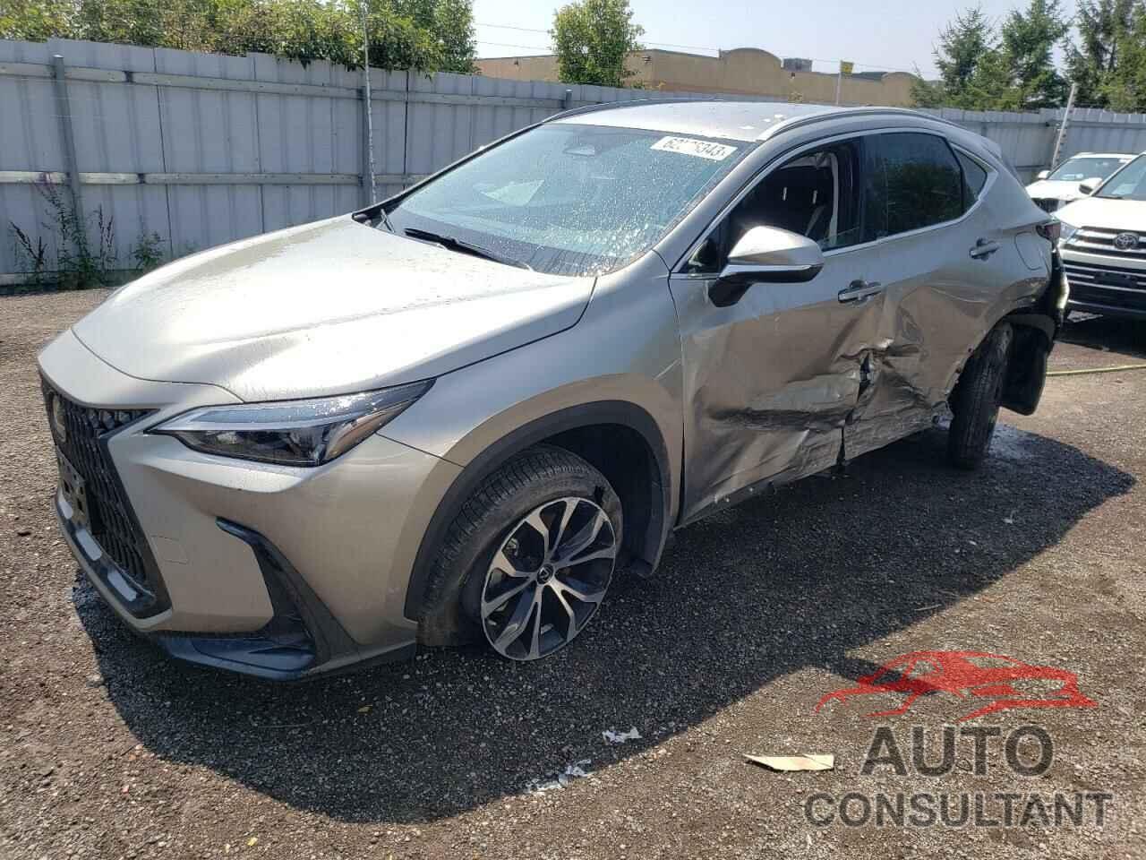 LEXUS NX 250 2023 - 2T2ADCEZXPC003615