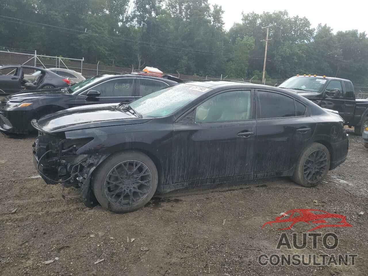 NISSAN MAXIMA 2011 - 1N4AA5AP2BC802440