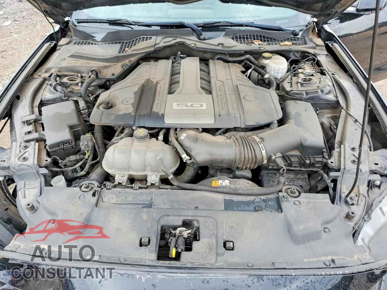 FORD MUSTANG 2018 - 1FA6P8CF4J5137991
