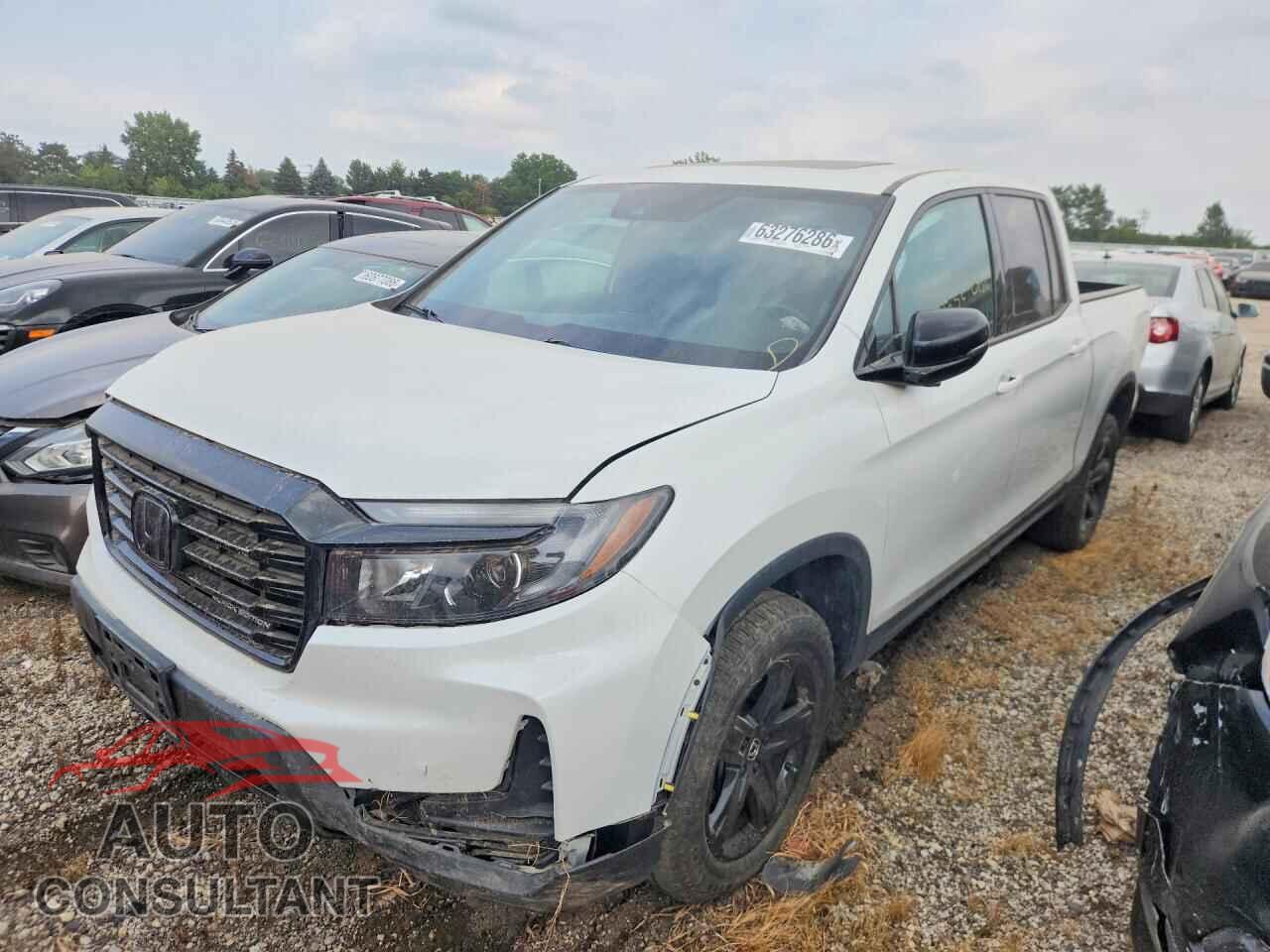 HONDA RIDGELINE 2023 - 5FPYK3F80PB020599