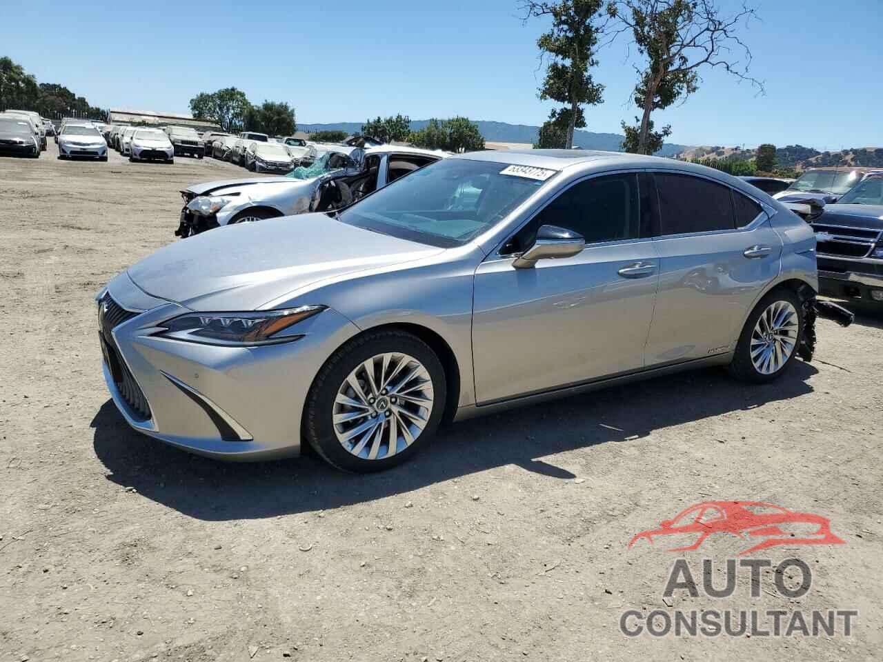 LEXUS ES300 2021 - 58AEA1C14MU004889