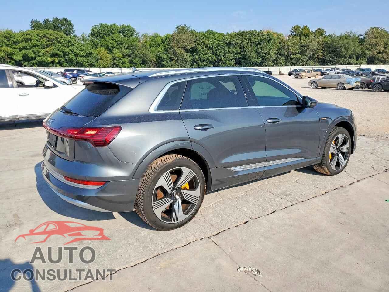 AUDI E-TRON 2019 - WA1VAAGE3KB007357