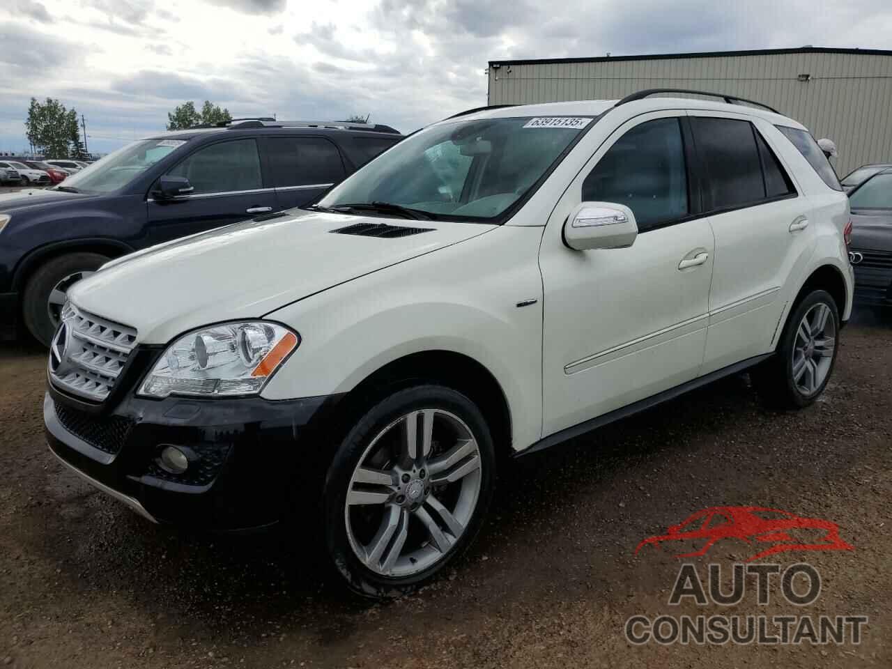 MERCEDES-BENZ M-CLASS 2009 - 4JGBB25E39A509327