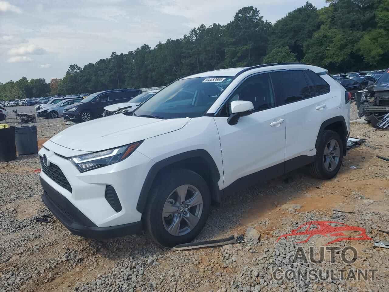 TOYOTA RAV4 2024 - 4T3MWRFV9RU127667