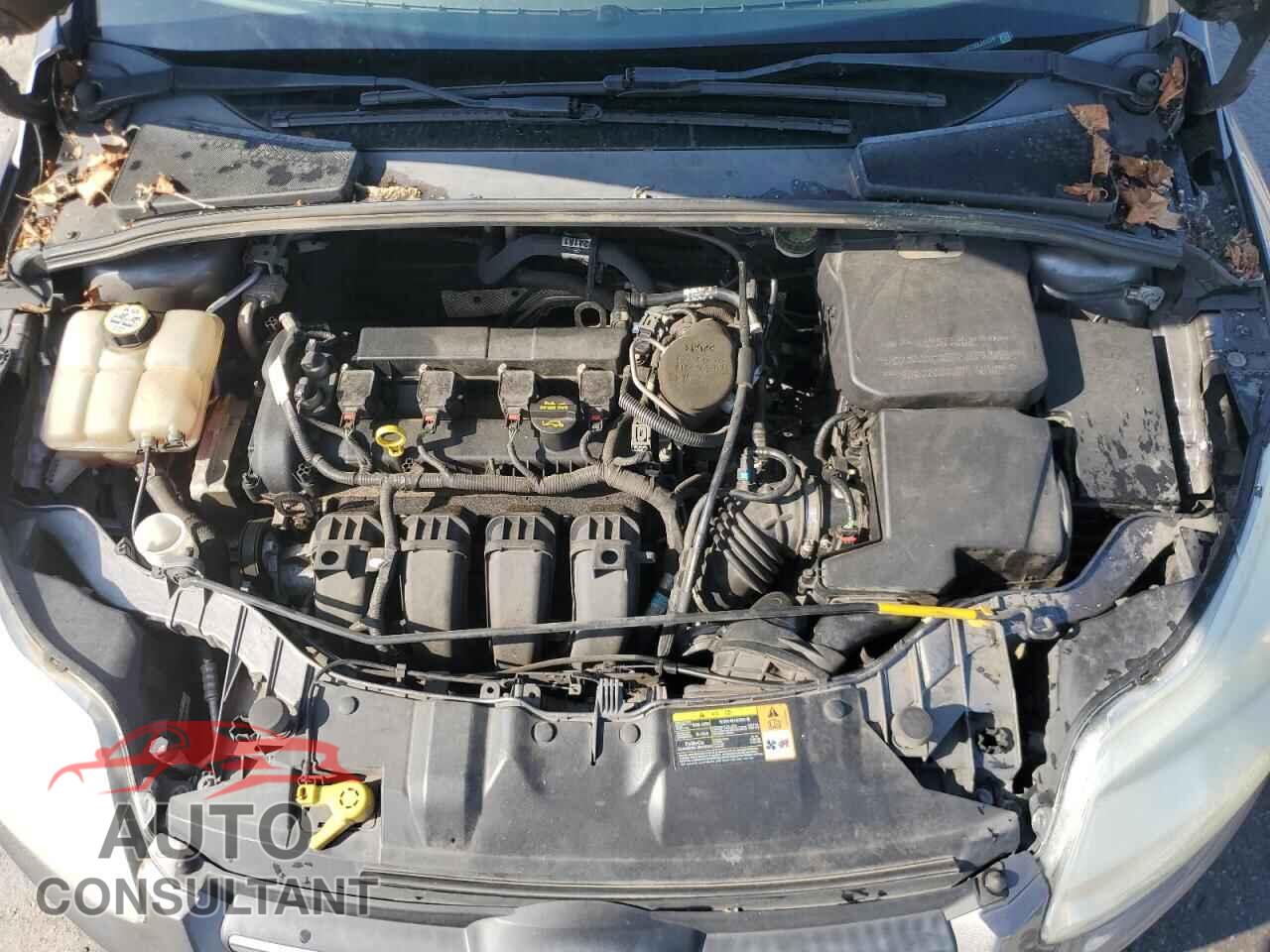 FORD FOCUS 2013 - 1FADP3F25DL241019