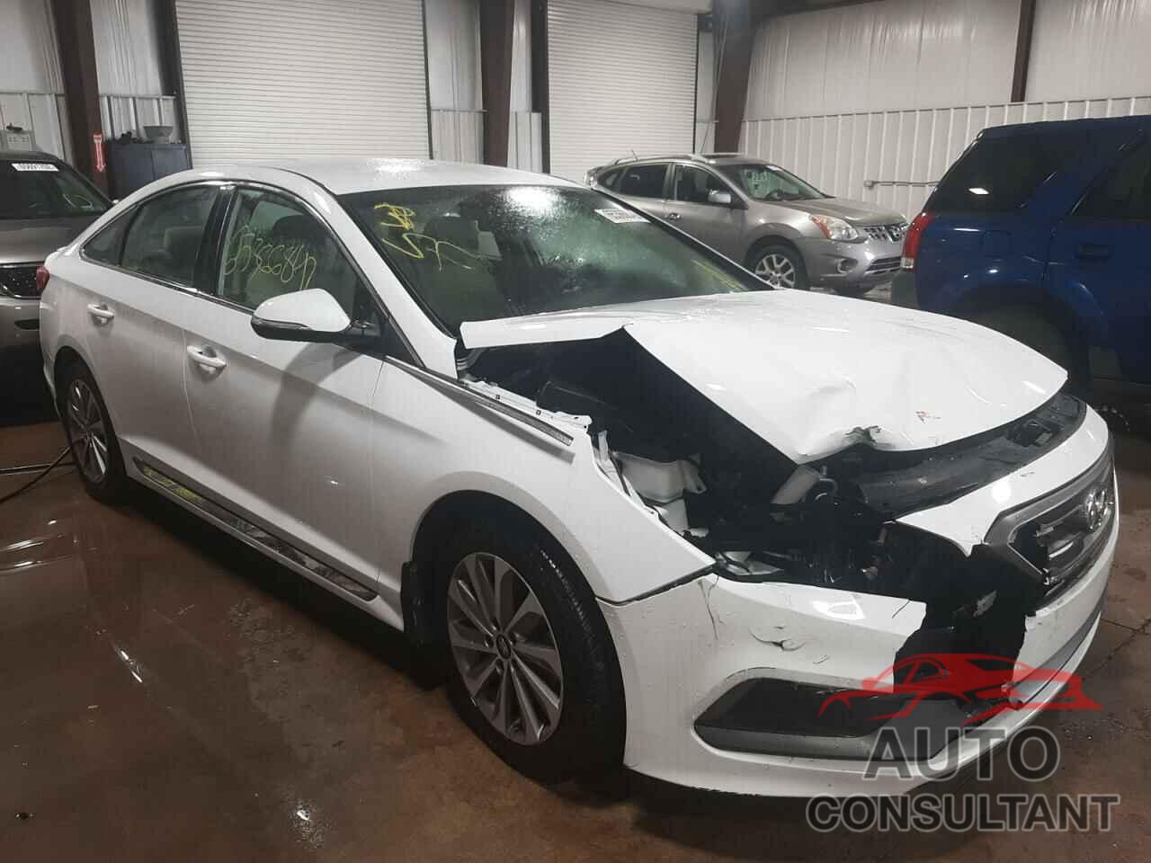 HYUNDAI SONATA 2016 - 5NPE34AF4GH290361