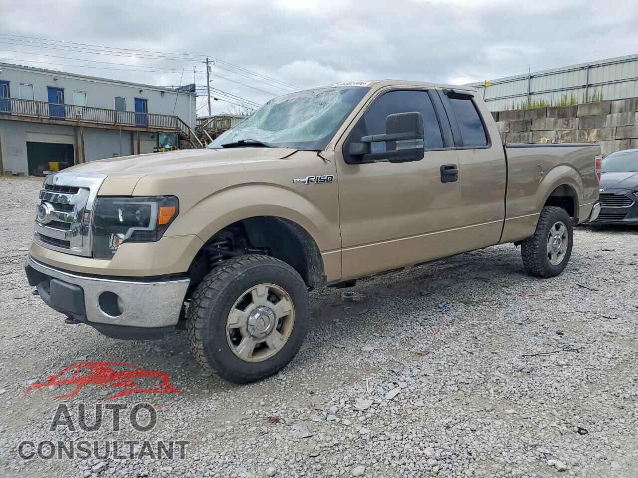 FORD F150 2012 - 1FTFX1EF6CFA43252