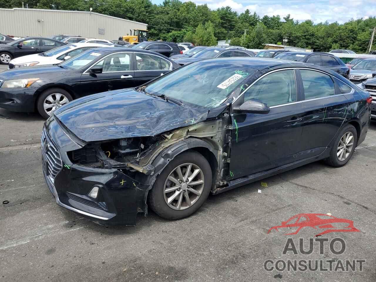 HYUNDAI SONATA 2019 - 5NPE24AF8KH745871