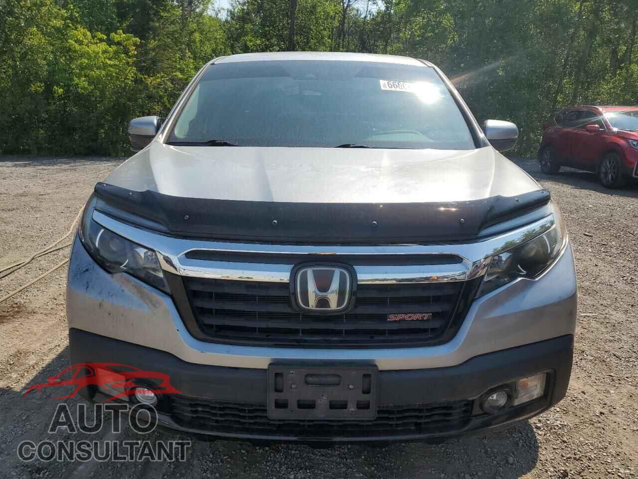 HONDA RIDGELINE 2019 - 5FPYK3F16KB500643