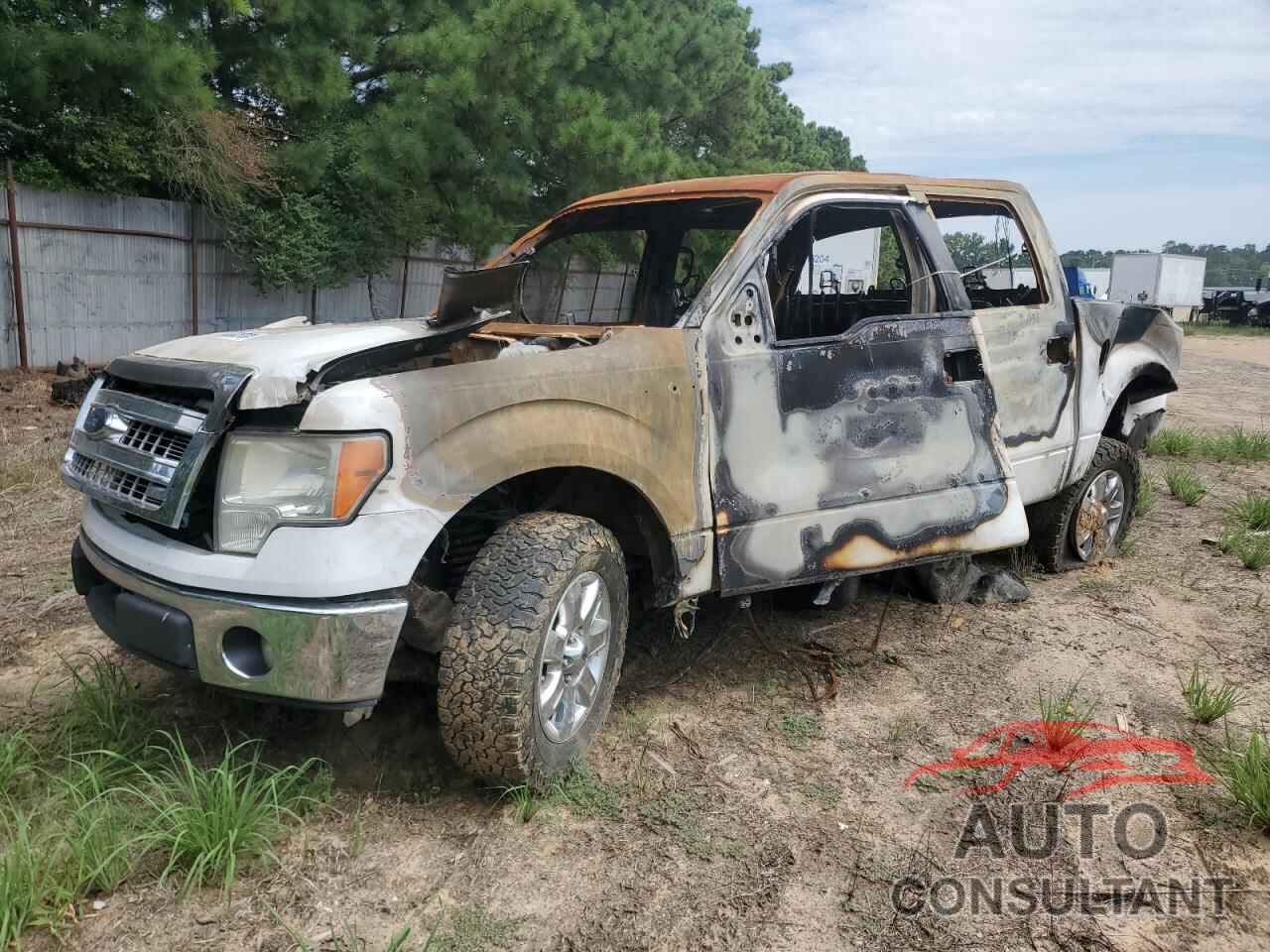 FORD F-150 2013 - 1FTFW1CT6DKG48554