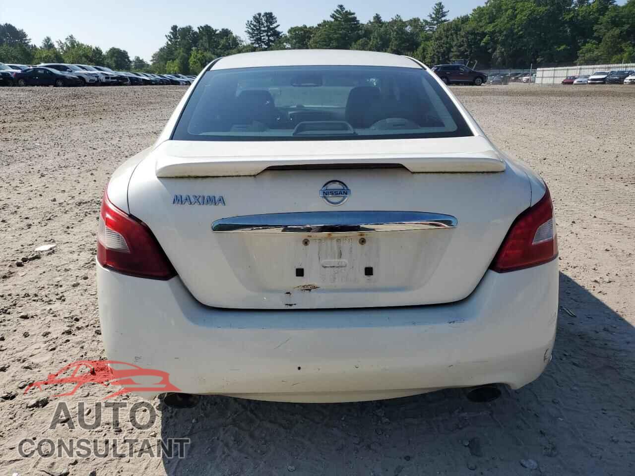 NISSAN MAXIMA 2009 - 1N4AA51E99C847819