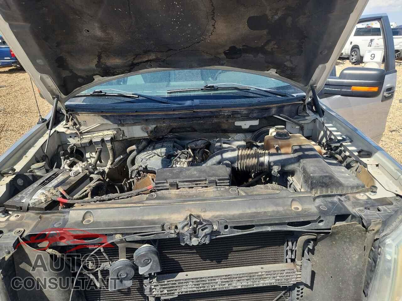 FORD F150 2011 - 1FTEW1CM3BFB97738