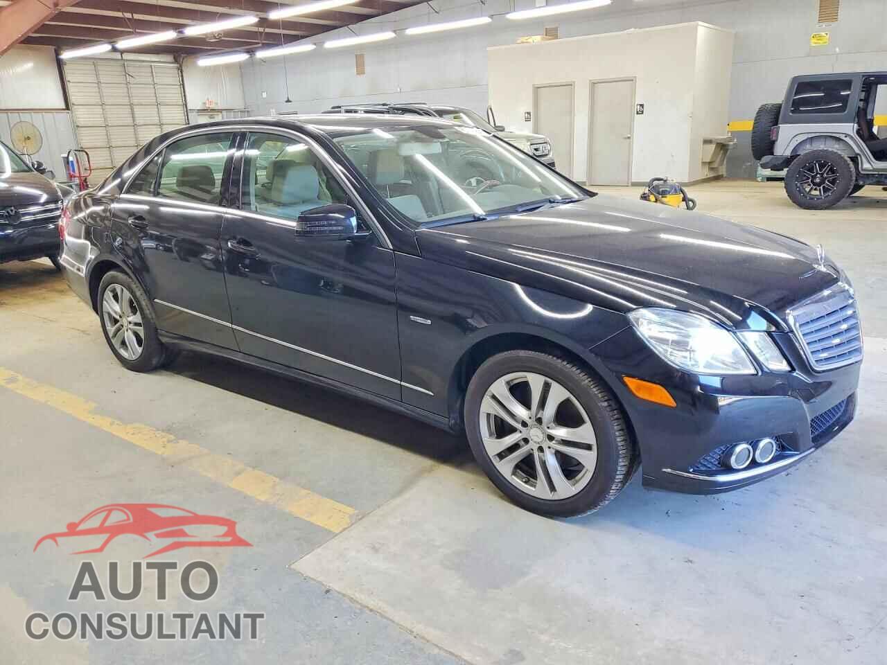 MERCEDES-BENZ E-CLASS 2011 - WDDHF2EBXBA495074