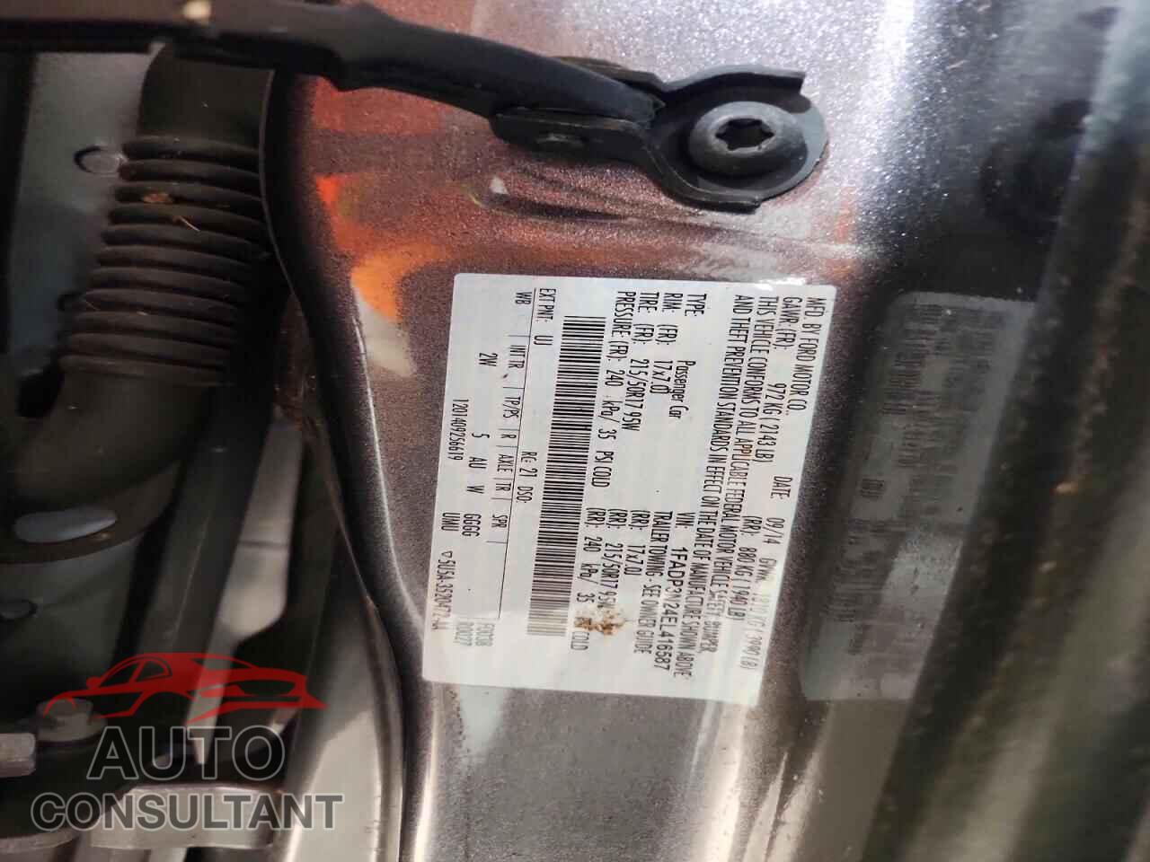 FORD FOCUS 2014 - 1FADP3N24EL416587