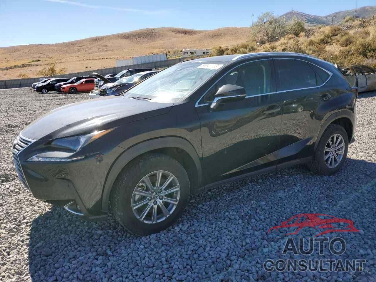 LEXUS NX 2020 - JTJAARDZXL5016547