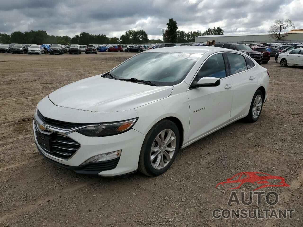 CHEVROLET MALIBU 2019 - 1G1ZD5ST8KF220110