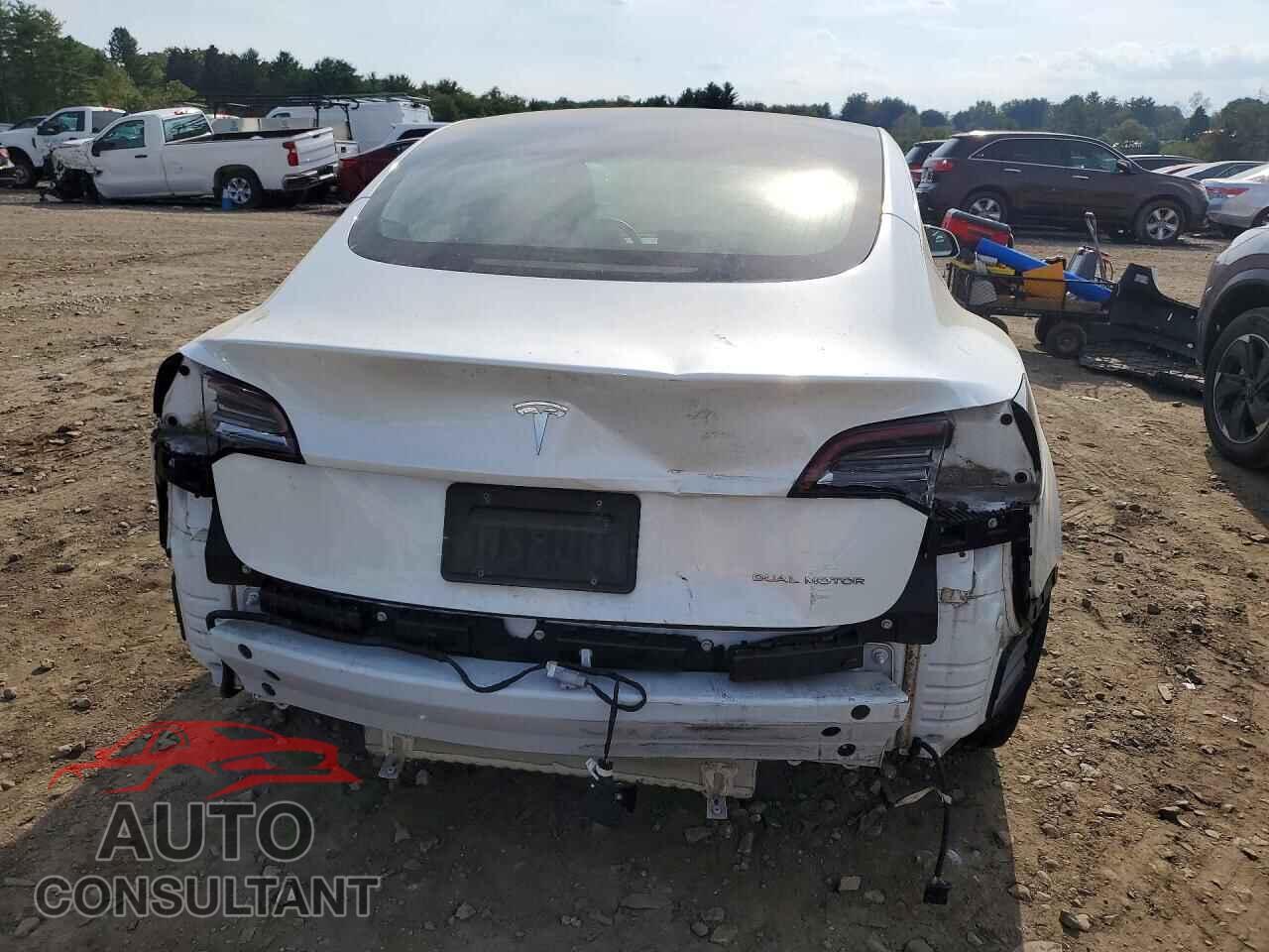 TESLA MODEL 3 2019 - 5YJ3E1EB0KF194340