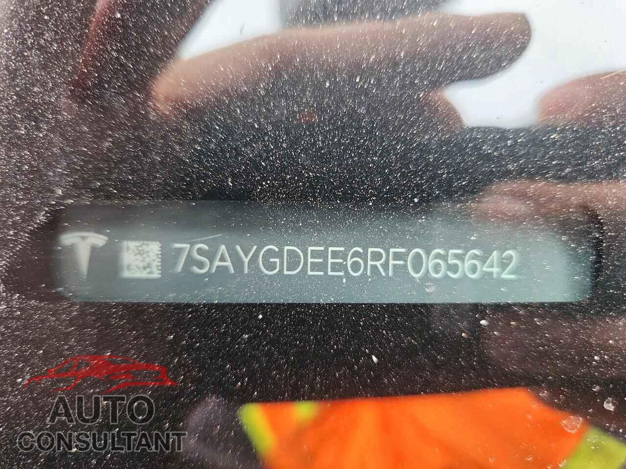 TESLA MODEL Y 2024 - 7SAYGDEE6RF065642