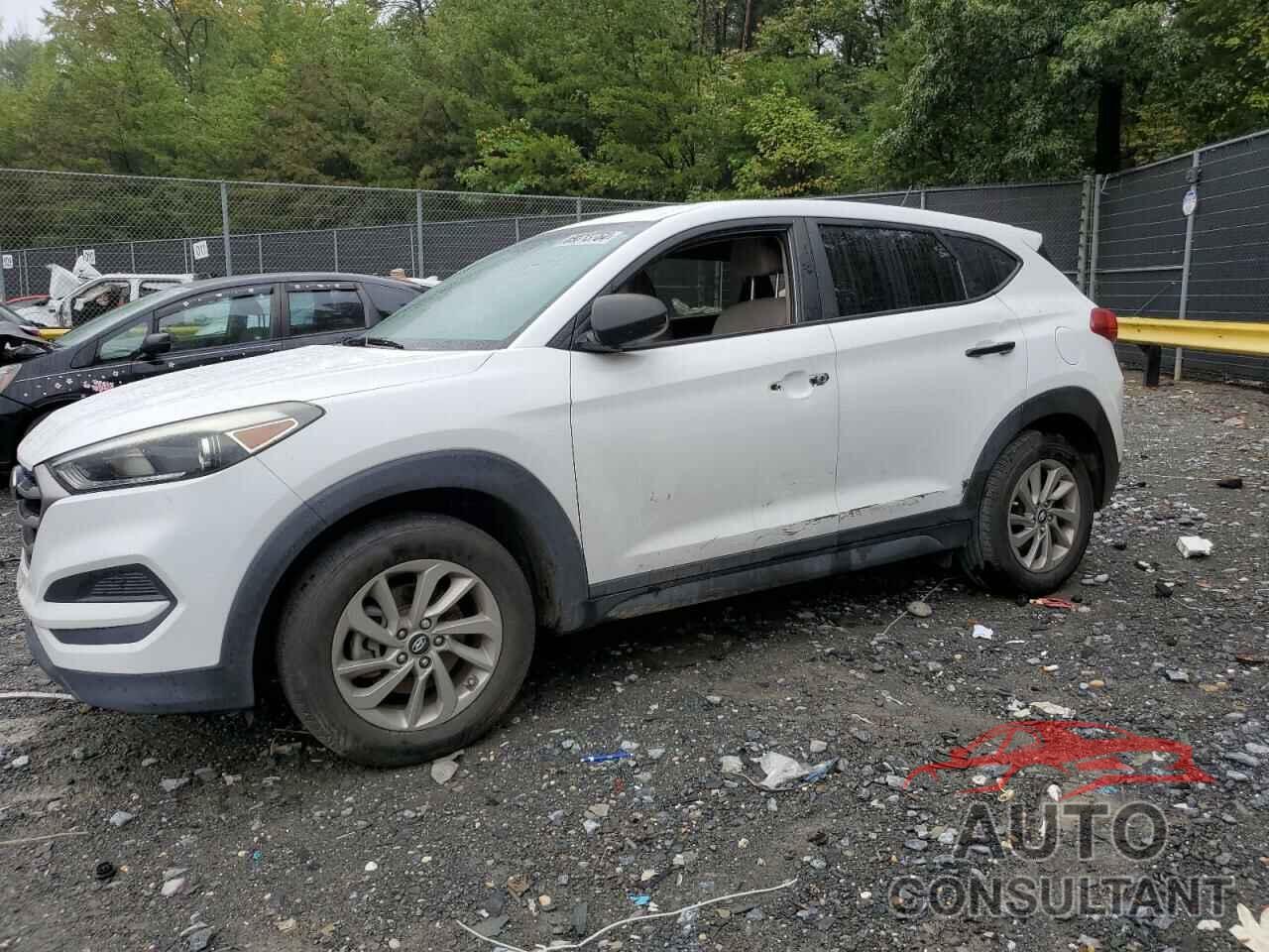 HYUNDAI TUCSON 2017 - KM8J23A44HU267577