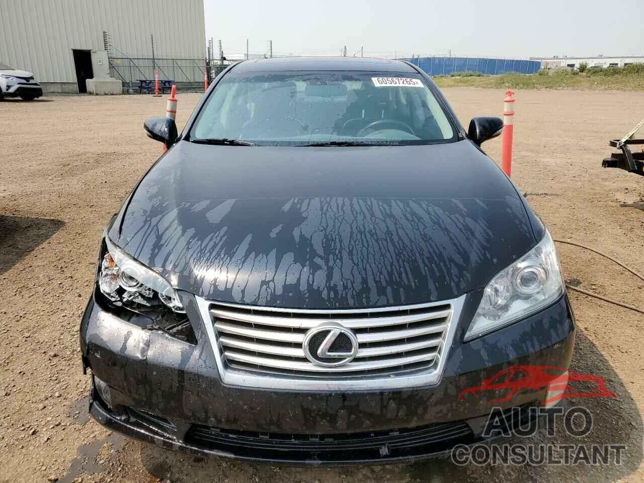 LEXUS ES350 2010 - JTHBK1EG3A2354632