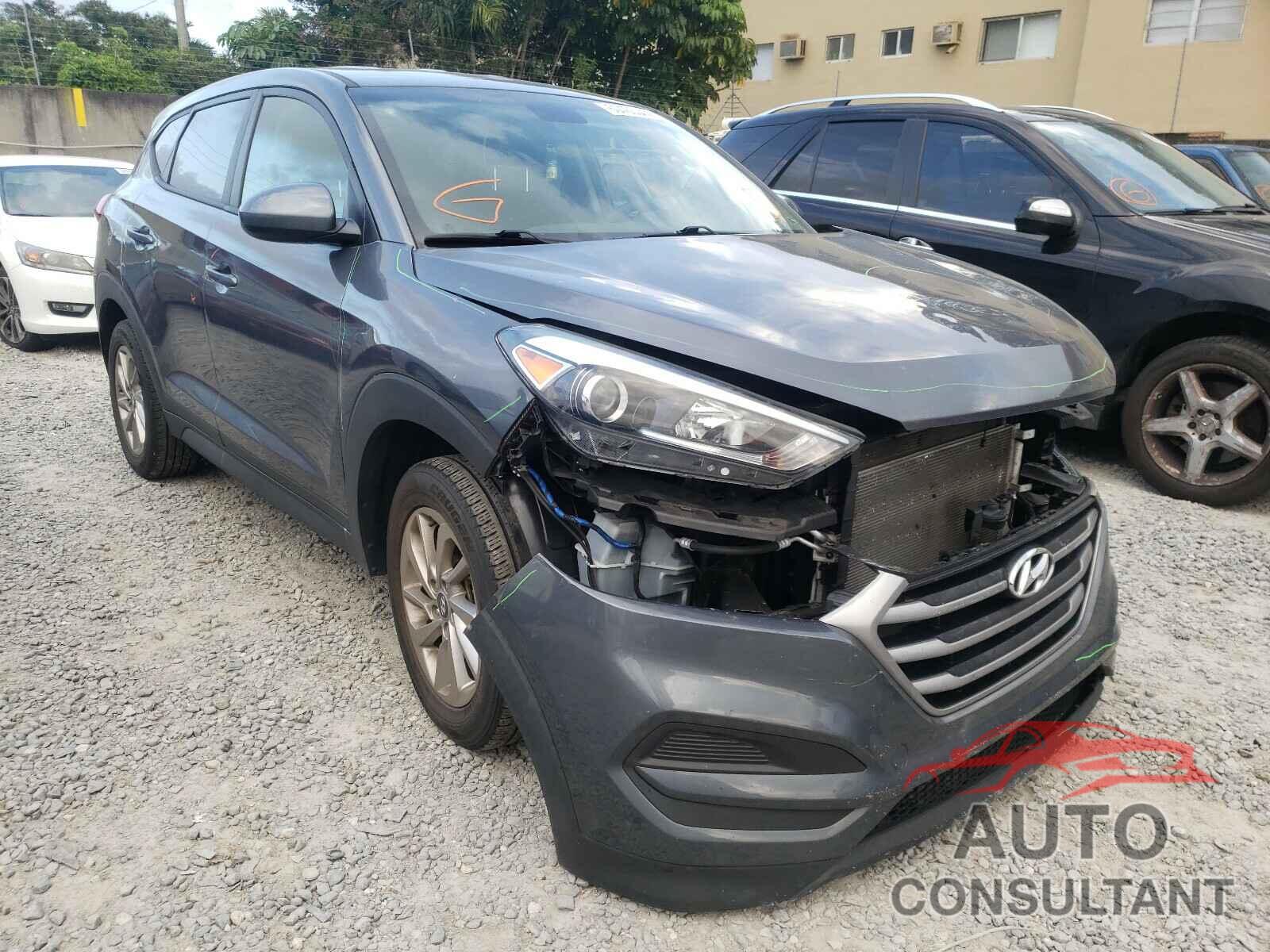 HYUNDAI TUCSON 2017 - KM8J23A44HU530571
