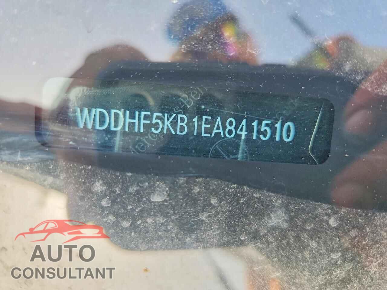 MERCEDES-BENZ E-CLASS 2014 - WDDHF5KB1EA841510