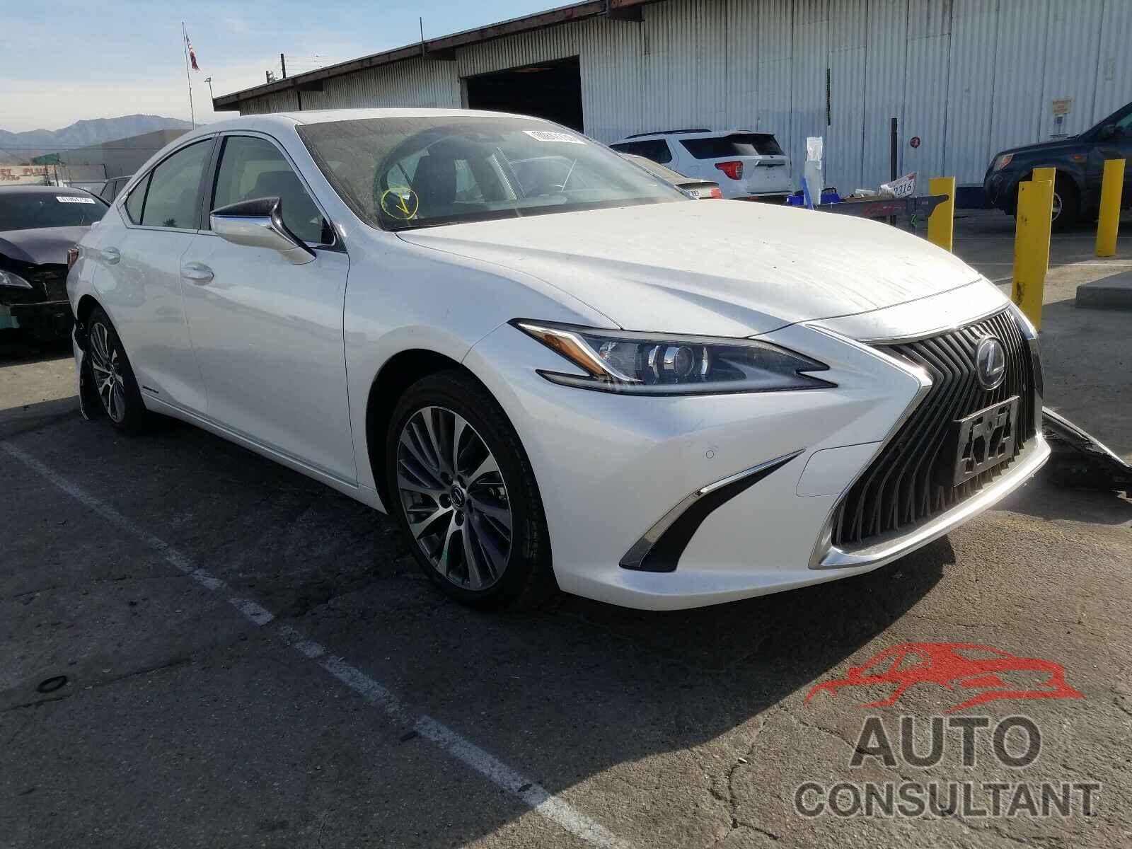 LEXUS ES300 2019 - JTHB21B19K2027704