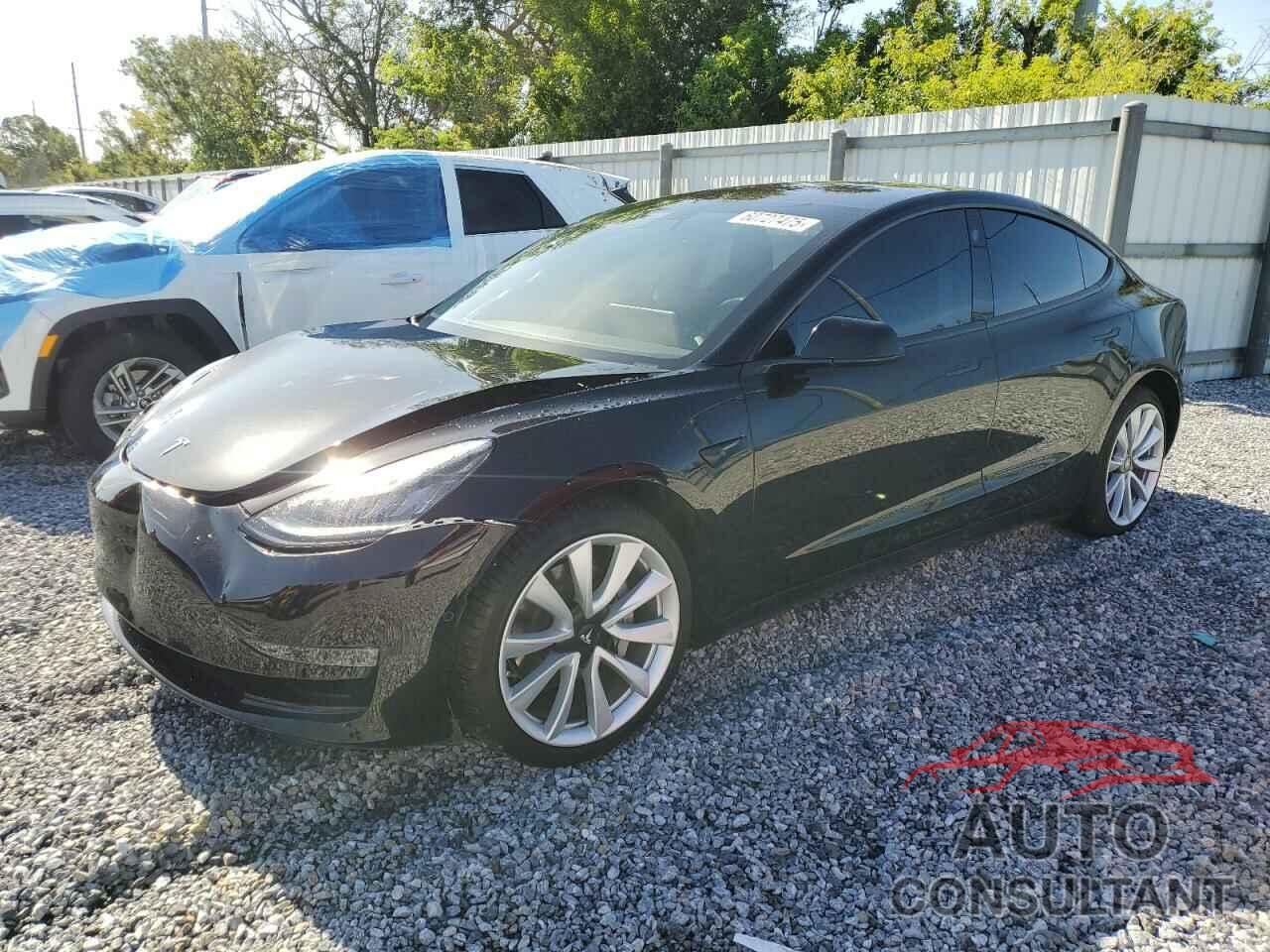 TESLA MODEL 3 2019 - 5YJ3E1EA5KF300319