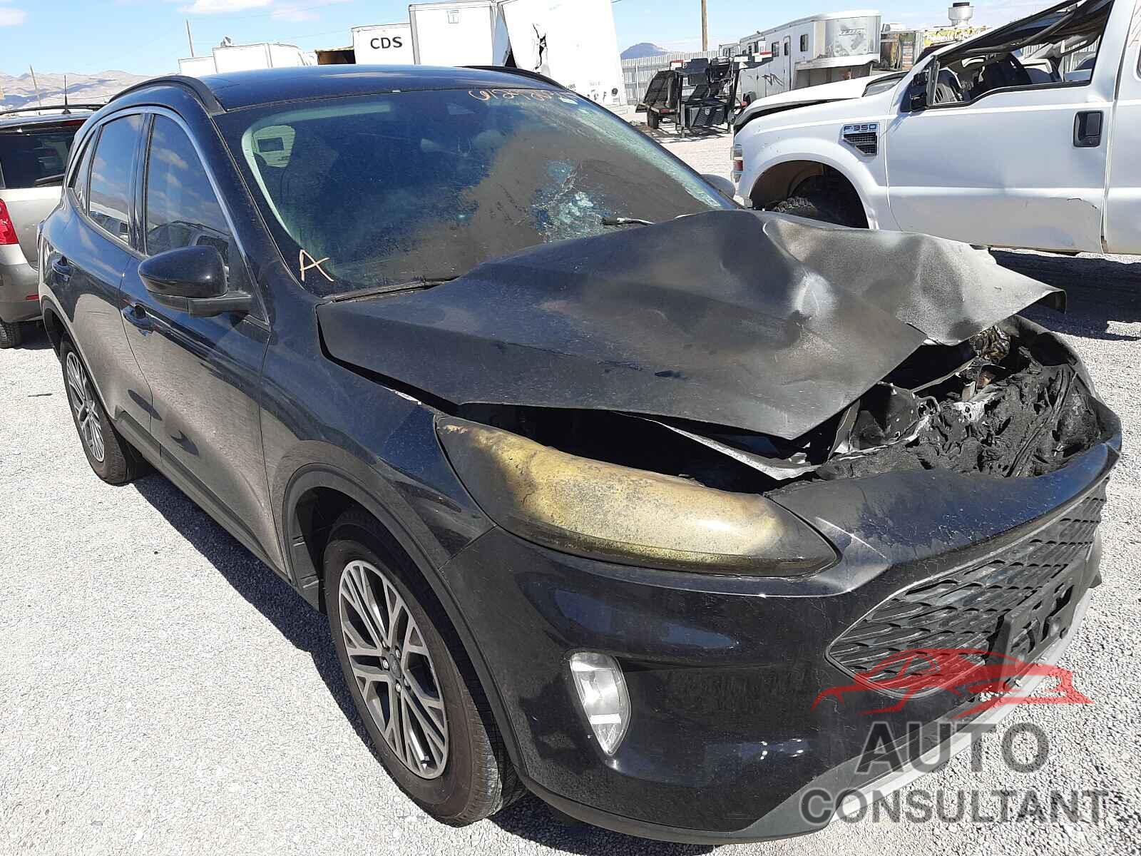 FORD ESCAPE 2021 - 1FMCU0H63MUA30131