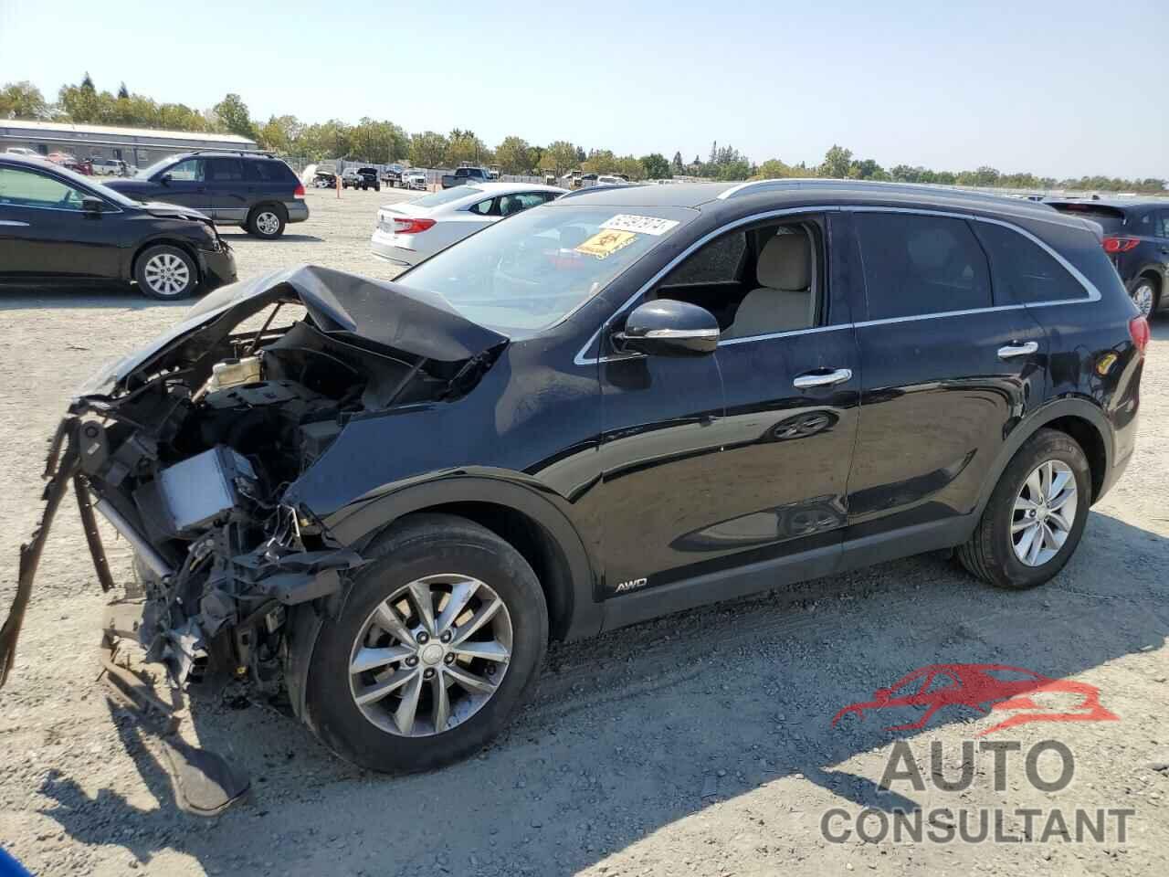 KIA SORENTO 2016 - 5XYPGDA30GG049200