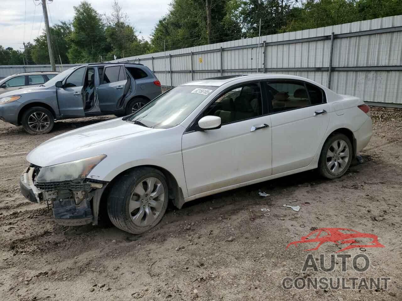 HONDA ACCORD 2010 - 5KBCP3F88AB017799
