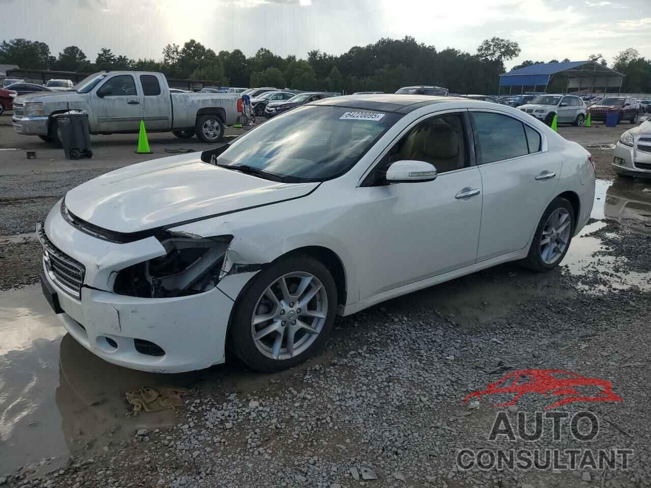 NISSAN MAXIMA 2009 - 1N4AA51E29C810496
