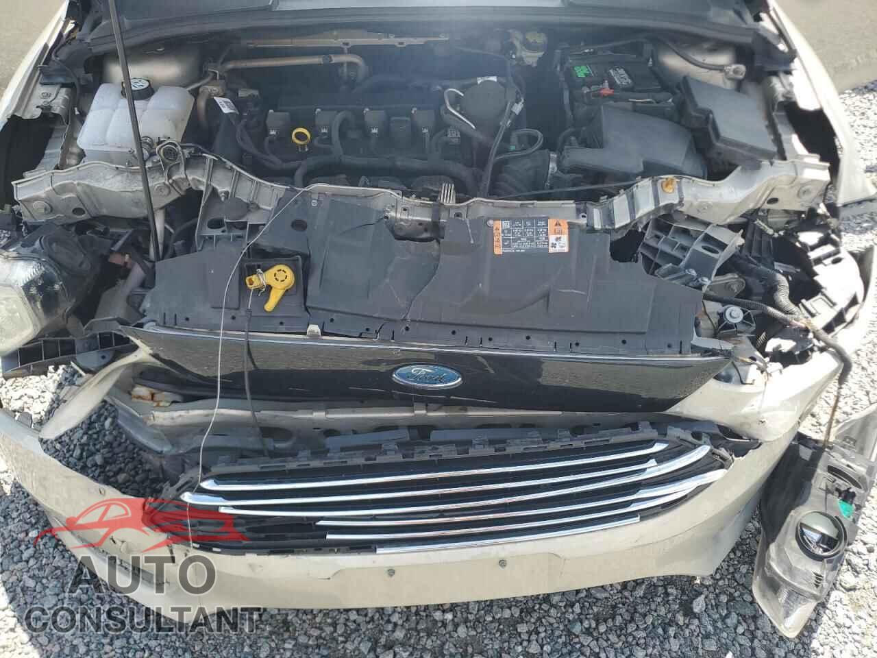 FORD FOCUS 2016 - 1FADP3N24GL235461