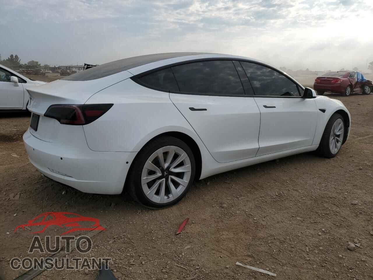 TESLA MODEL 3 2021 - 5YJ3E1EAXMF058842