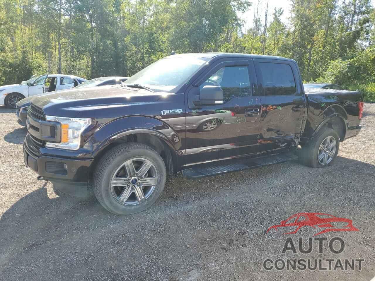 FORD F-150 2019 - 1FTEW1EP4KFA37665