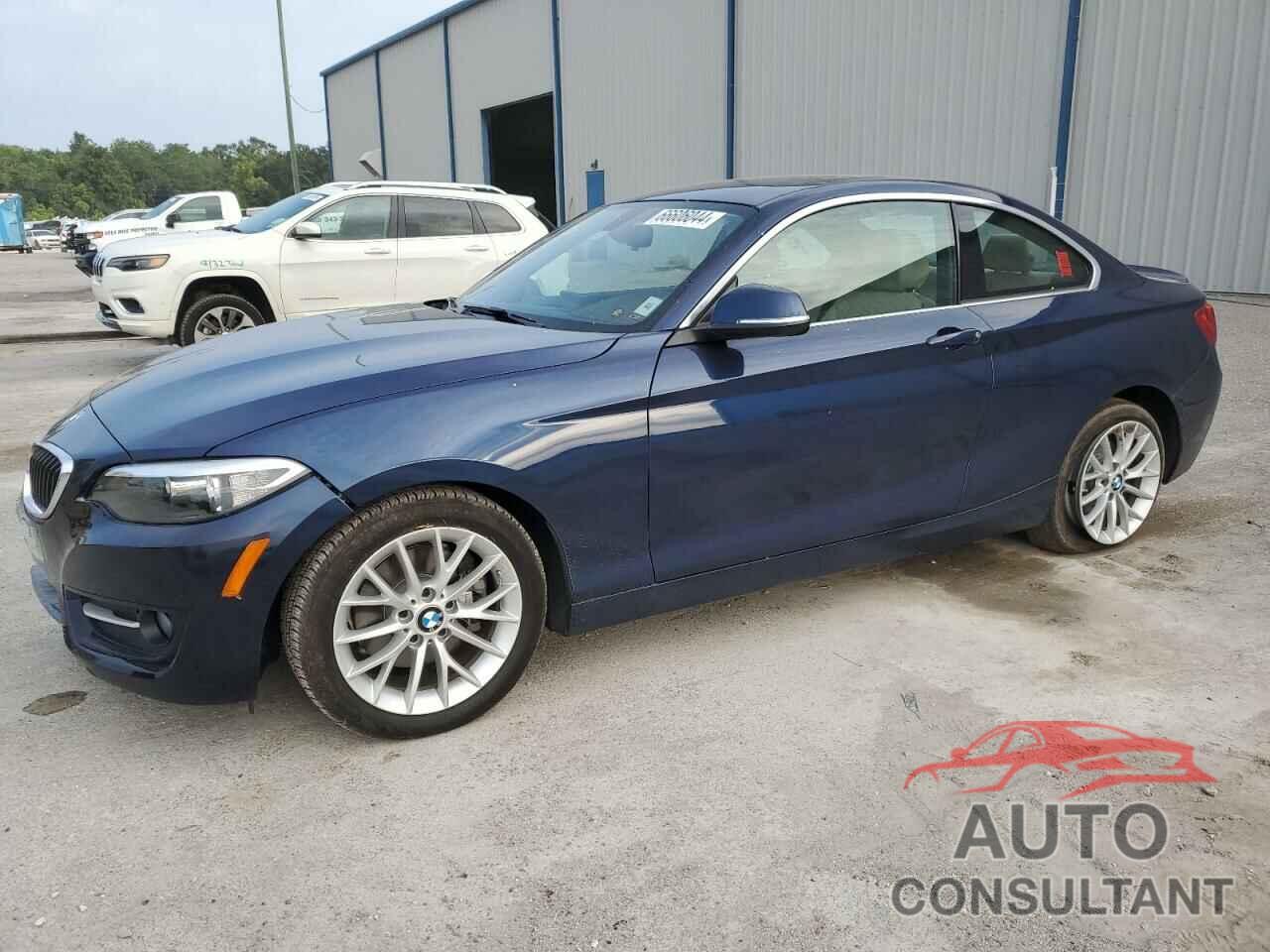 BMW 2 SERIES 2016 - WBA1F9C52GV545433