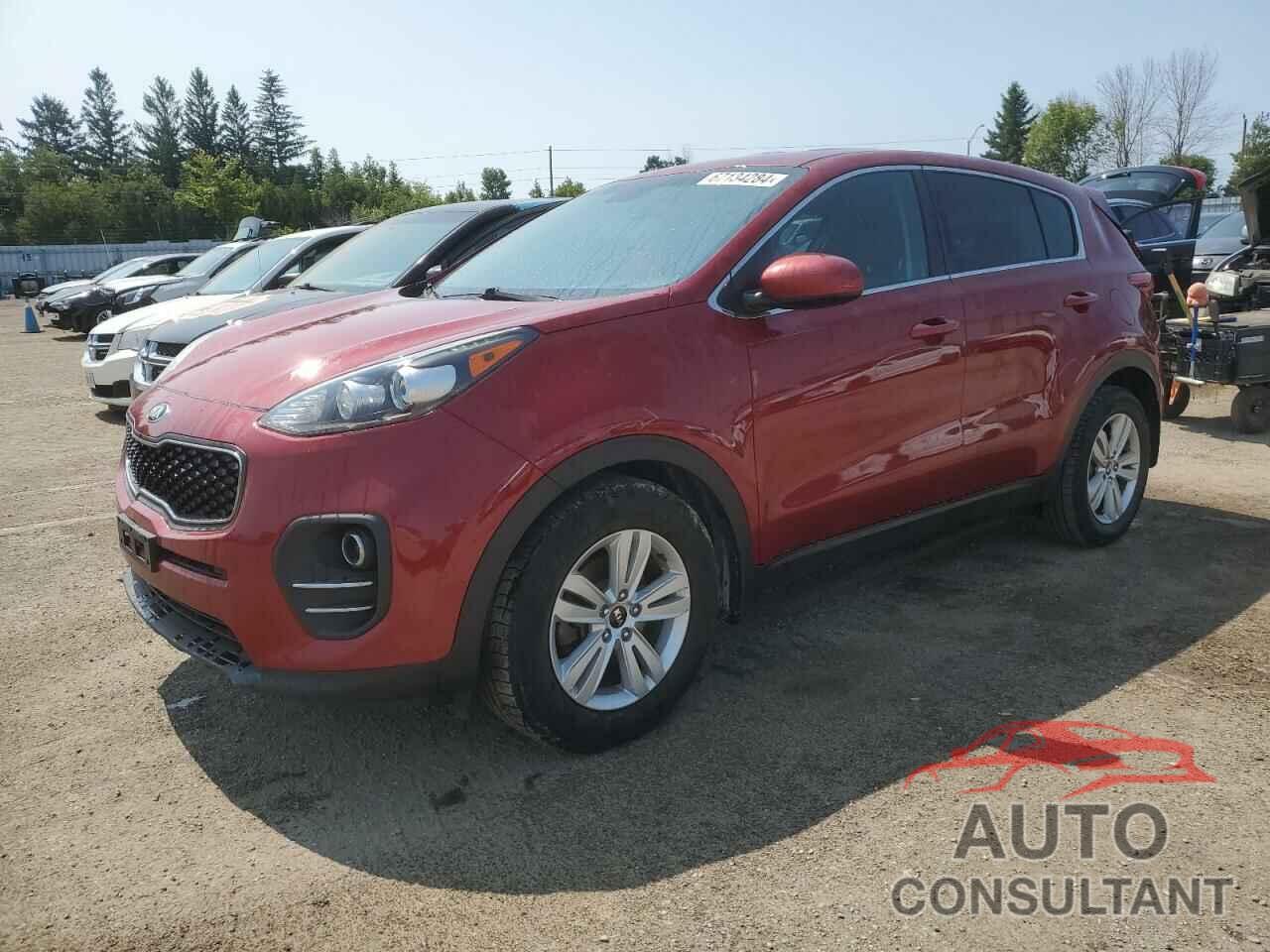 KIA SPORTAGE 2017 - KNDPM3AC1H7252582