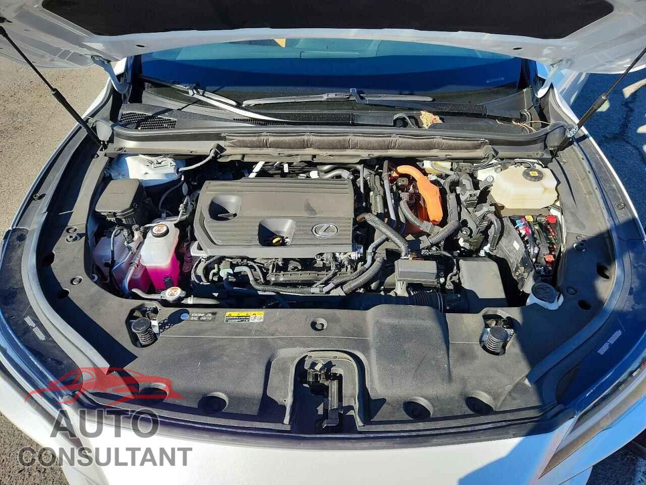 LEXUS RX350H 2025 - 2T2BBMCA1SC098734