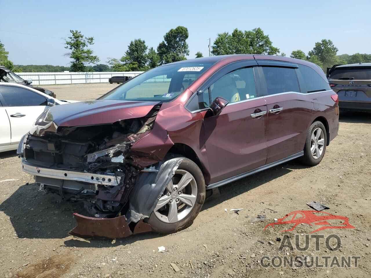 HONDA All Models 2019 - 5FNRL6H5XKB041029