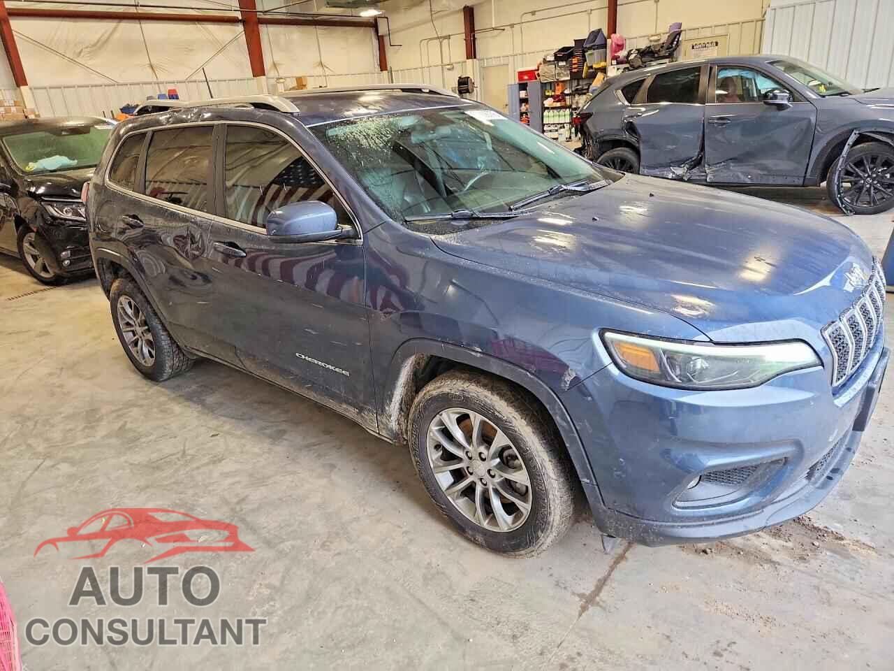JEEP CHEROKEE 2019 - 1C4PJLLB2KD366693