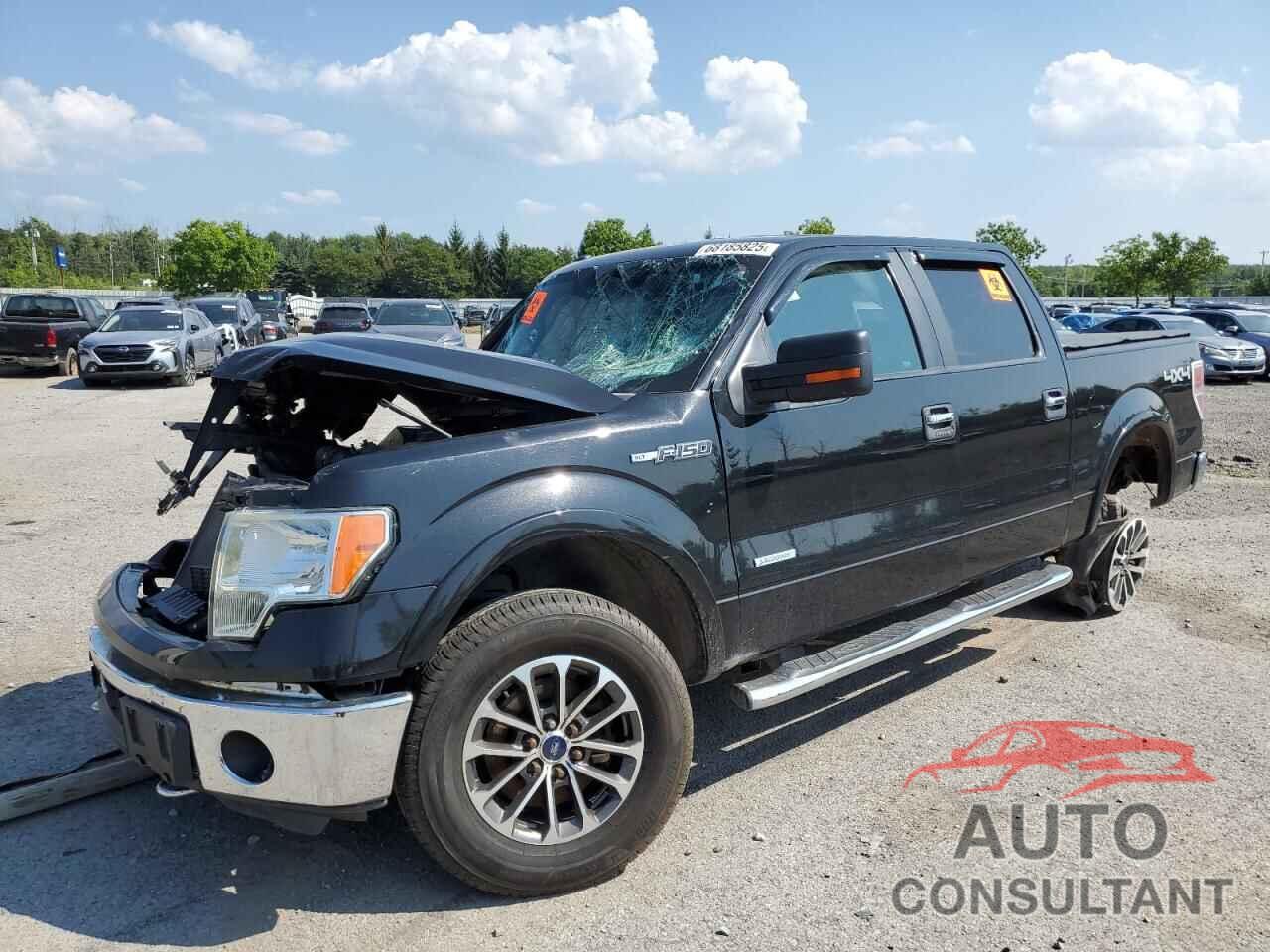 FORD F-150 2013 - 1FTFW1ET3DFD29750