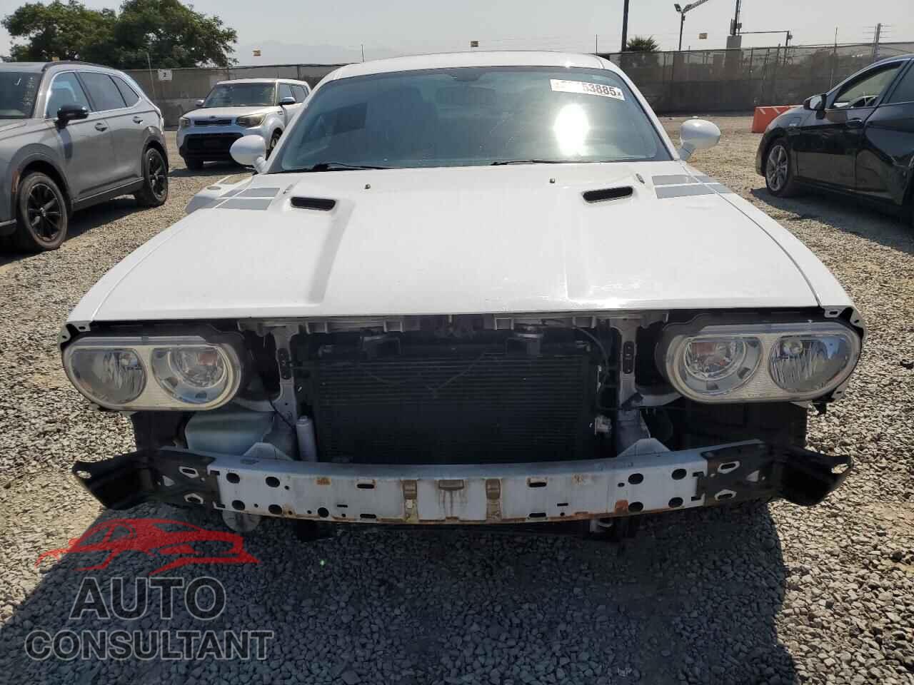 DODGE CHALLENGER 2013 - 2C3CDYBT9DH517858