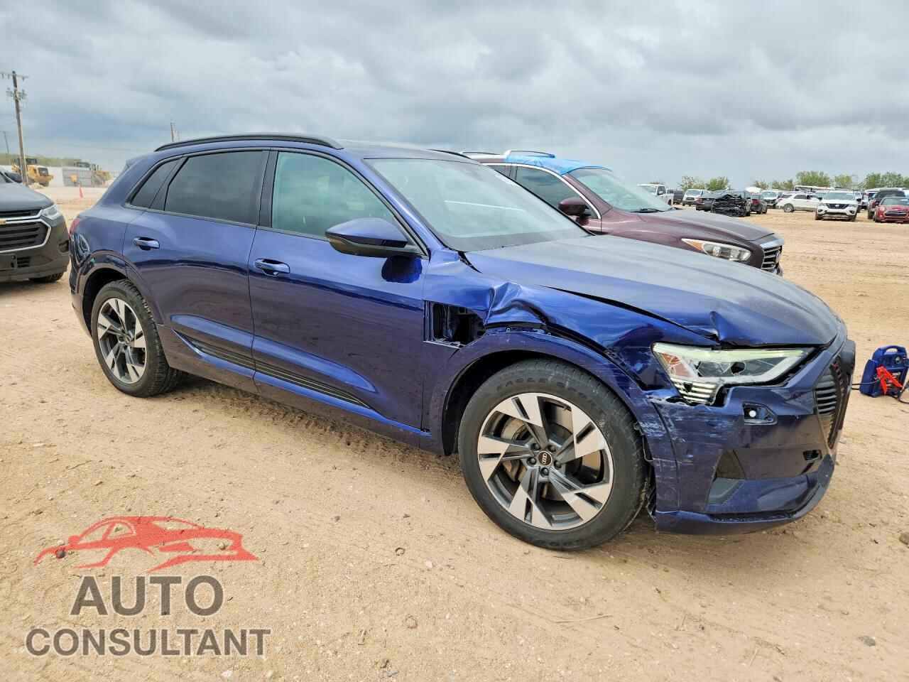 AUDI E-TRON 2022 - WA1AAAGE0NB034681