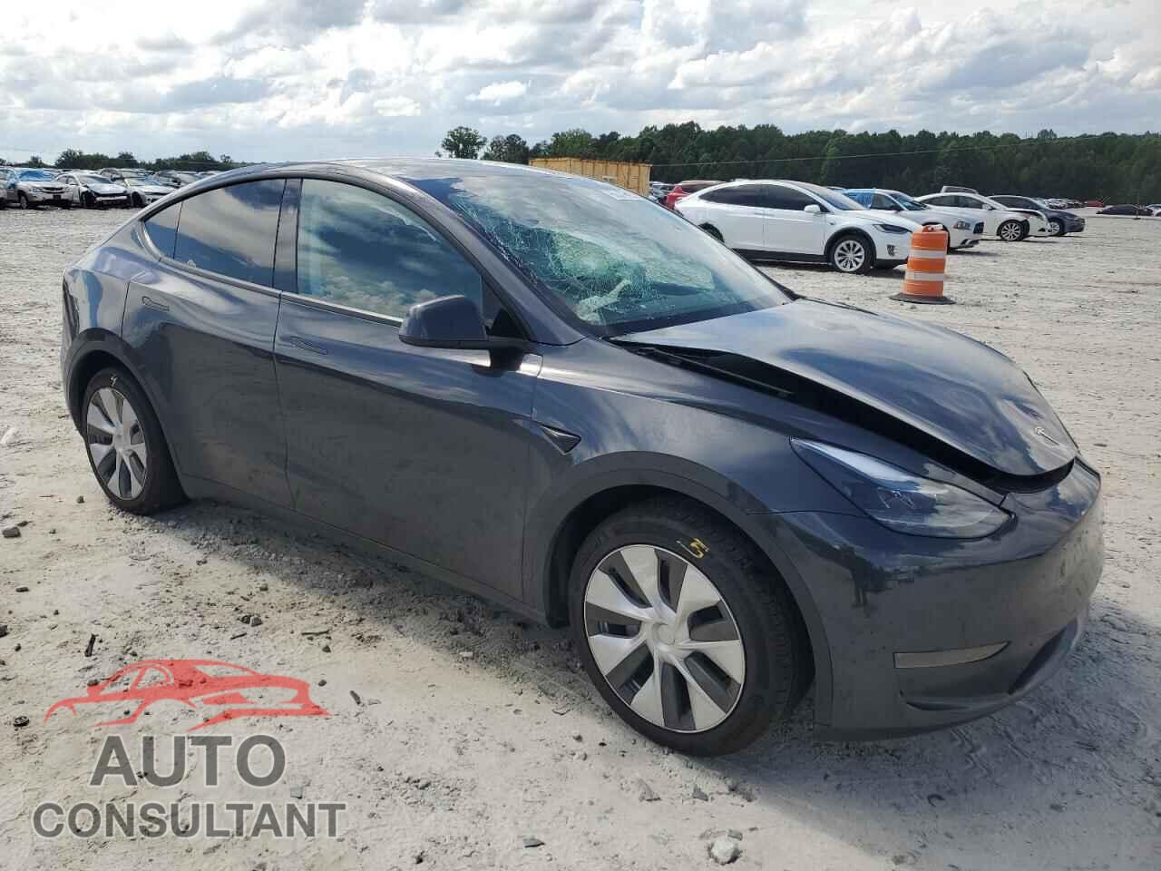 TESLA MODEL Y 2024 - 7SAYGDED0RF018730