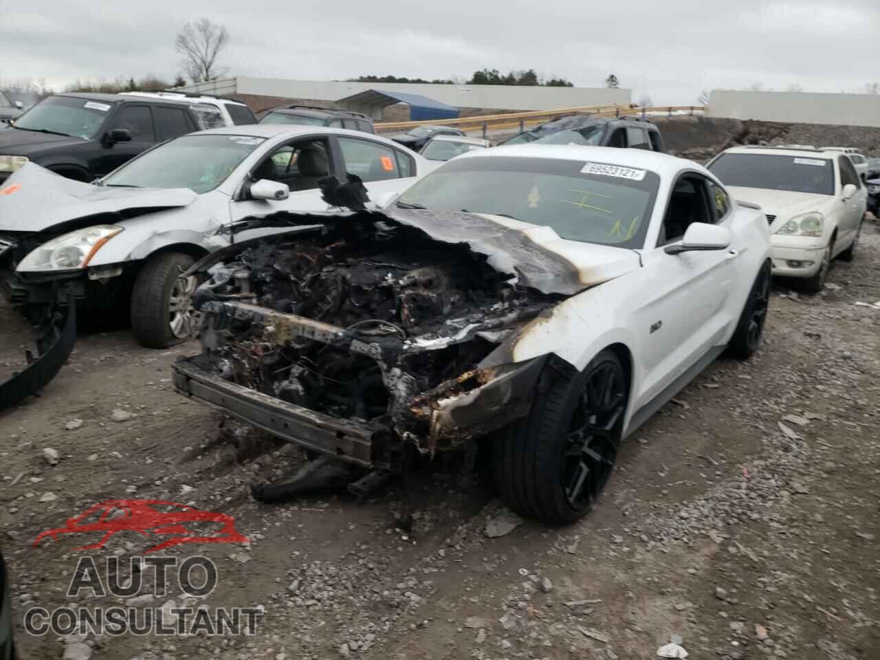 FORD MUSTANG 2017 - 1FA6P8CF2H5259503