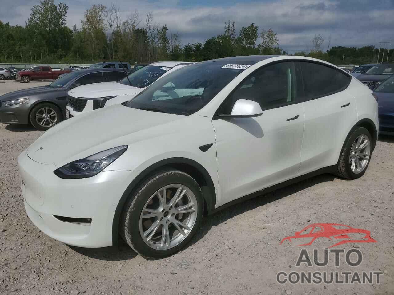 TESLA MODEL Y 2021 - 5YJYGDEE6MF194115