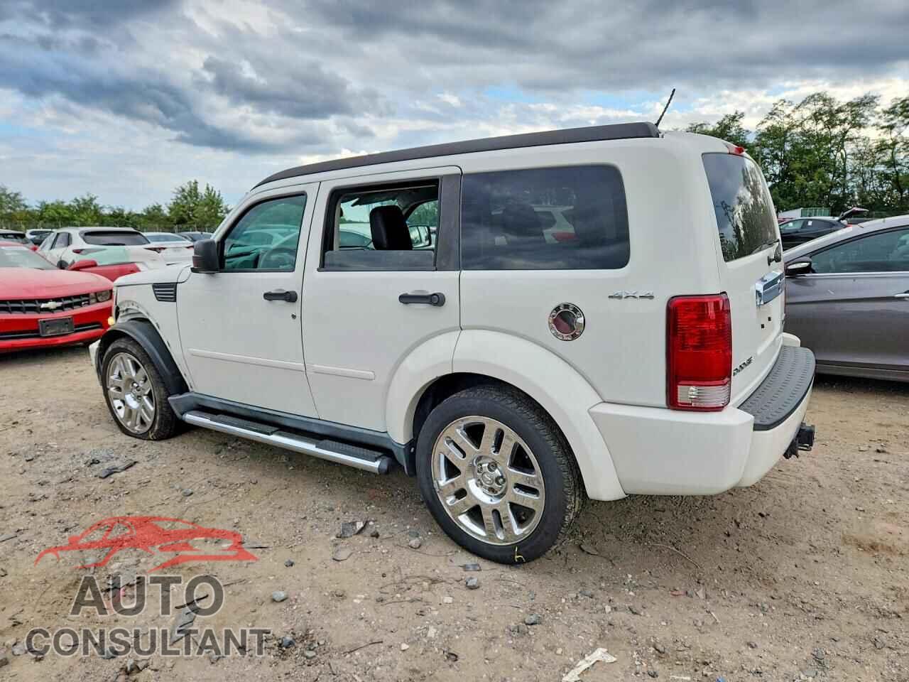 DODGE NITRO 2010 - 1D4PU5GK4AW113684